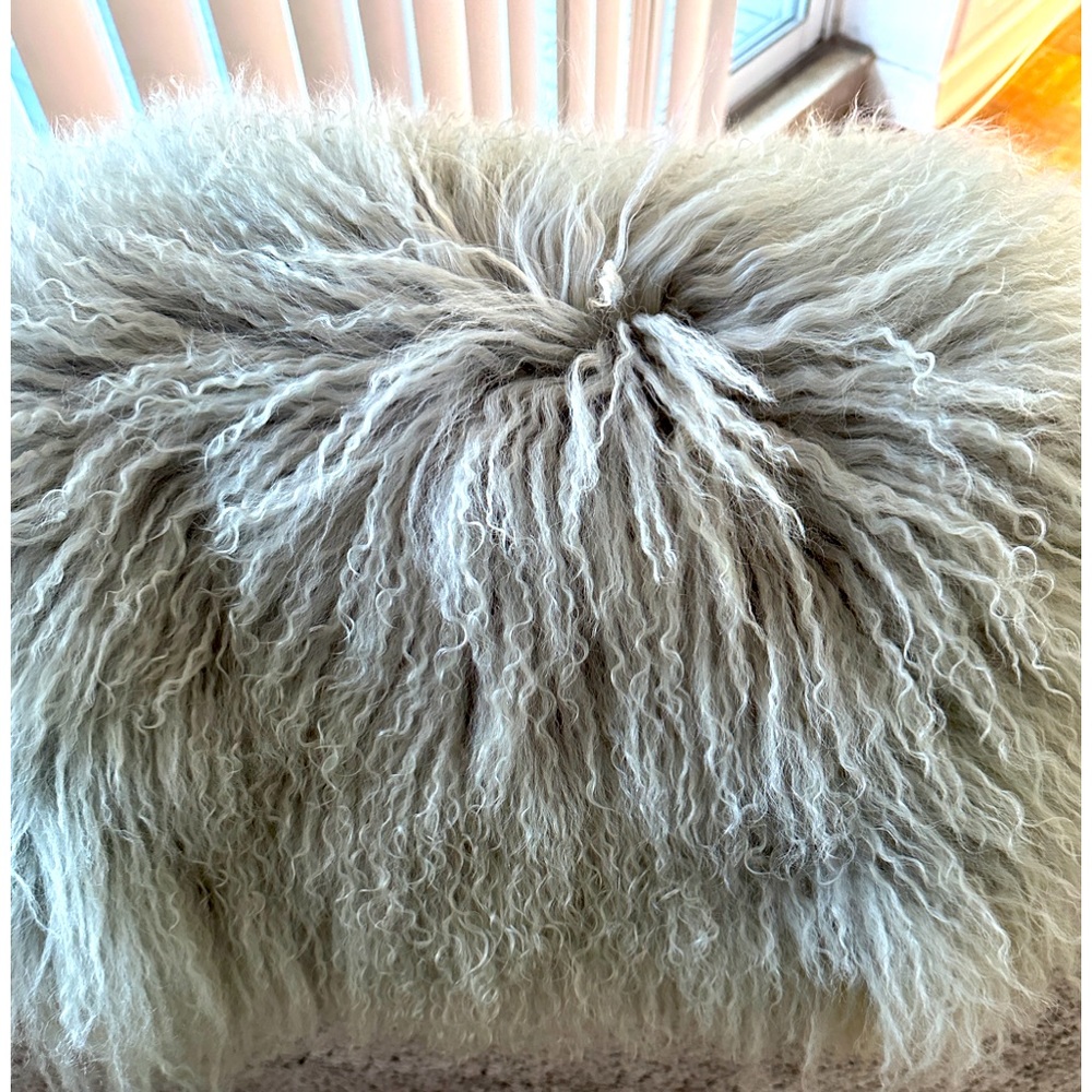 🌹HOST PICK! 🌺West Elm Mangolian wool pillow NWT